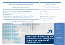 Zuschuss ohne Rückzahlung, Beratung gefördert