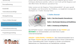 Schwachstellenanalyse